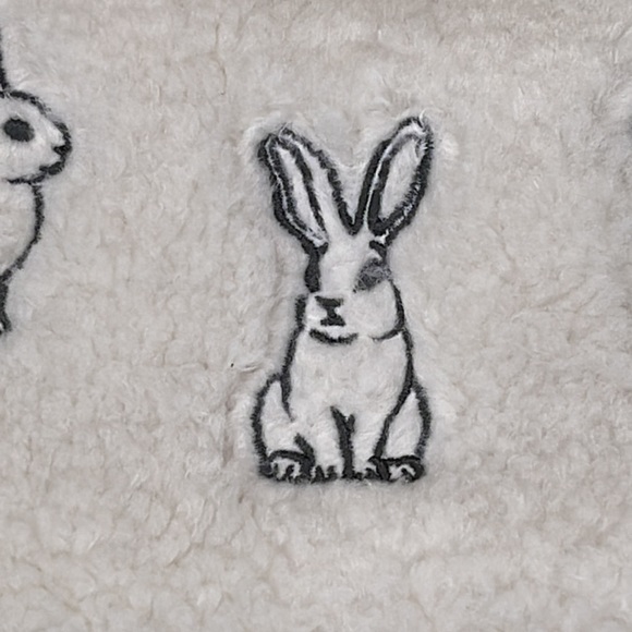 NWT - LULULEMON LUNAR NEW YEAR SHERPA EVERYWHERE BELT BAG -2nd - Picture 6 of 16